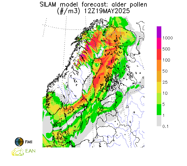 http://repo.realtime.sa.vu.lt/maps/pollen_silam/alder_20250521_060.png