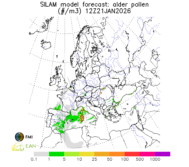 http://repo.realtime.sa.vu.lt/maps/pollen_silam/alder_20260122_060.png