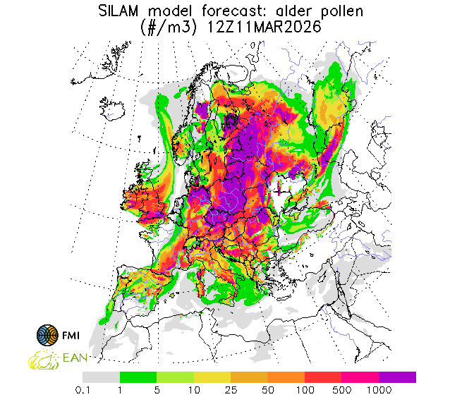 http://repo.realtime.sa.vu.lt/maps/pollen_silam/alder_20260312_060.png