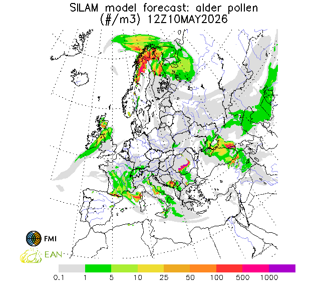 http://repo.realtime.sa.vu.lt/maps/pollen_silam/alder_20260511_060.png