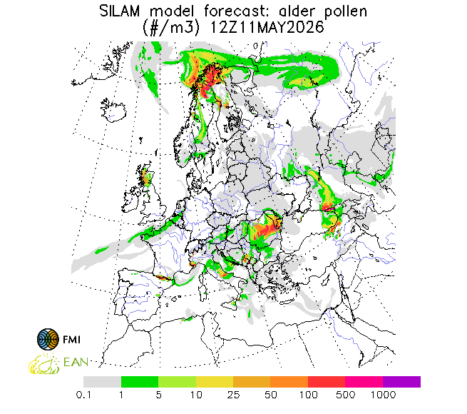 http://repo.realtime.sa.vu.lt/maps/pollen_silam/alder_20260512_060.png