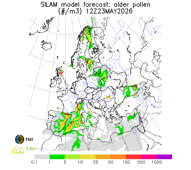http://repo.realtime.sa.vu.lt/maps/pollen_silam/alder_20260524_060.png