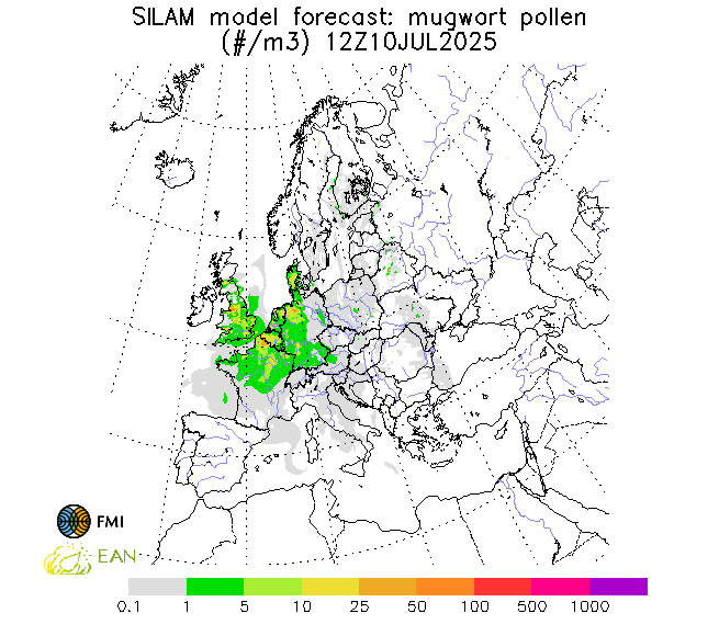 http://repo.realtime.sa.vu.lt/maps/pollen_silam/mugwort_20250711_060.png