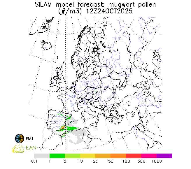 http://repo.realtime.sa.vu.lt/maps/pollen_silam/mugwort_20251025_060.png