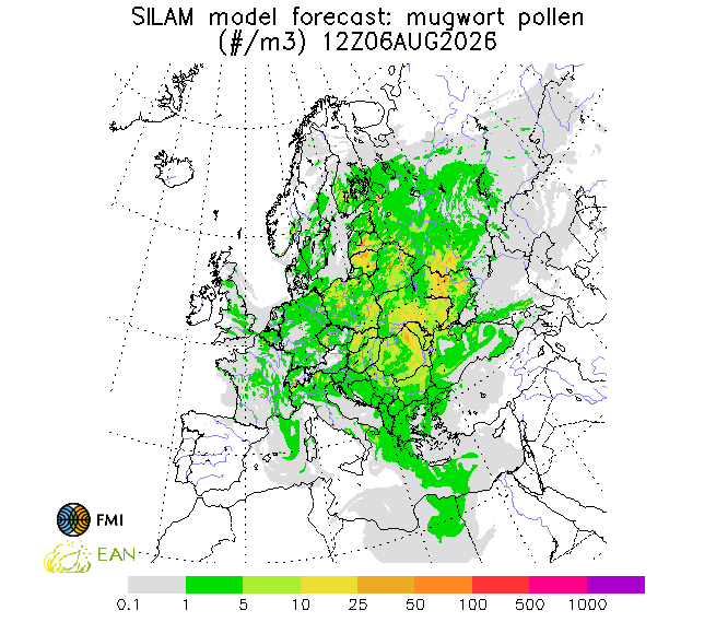 http://repo.realtime.sa.vu.lt/maps/pollen_silam/mugwort_20260807_060.png